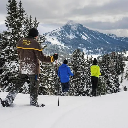 Апартаменты Holiday Alpenpark - Osm02503-cya